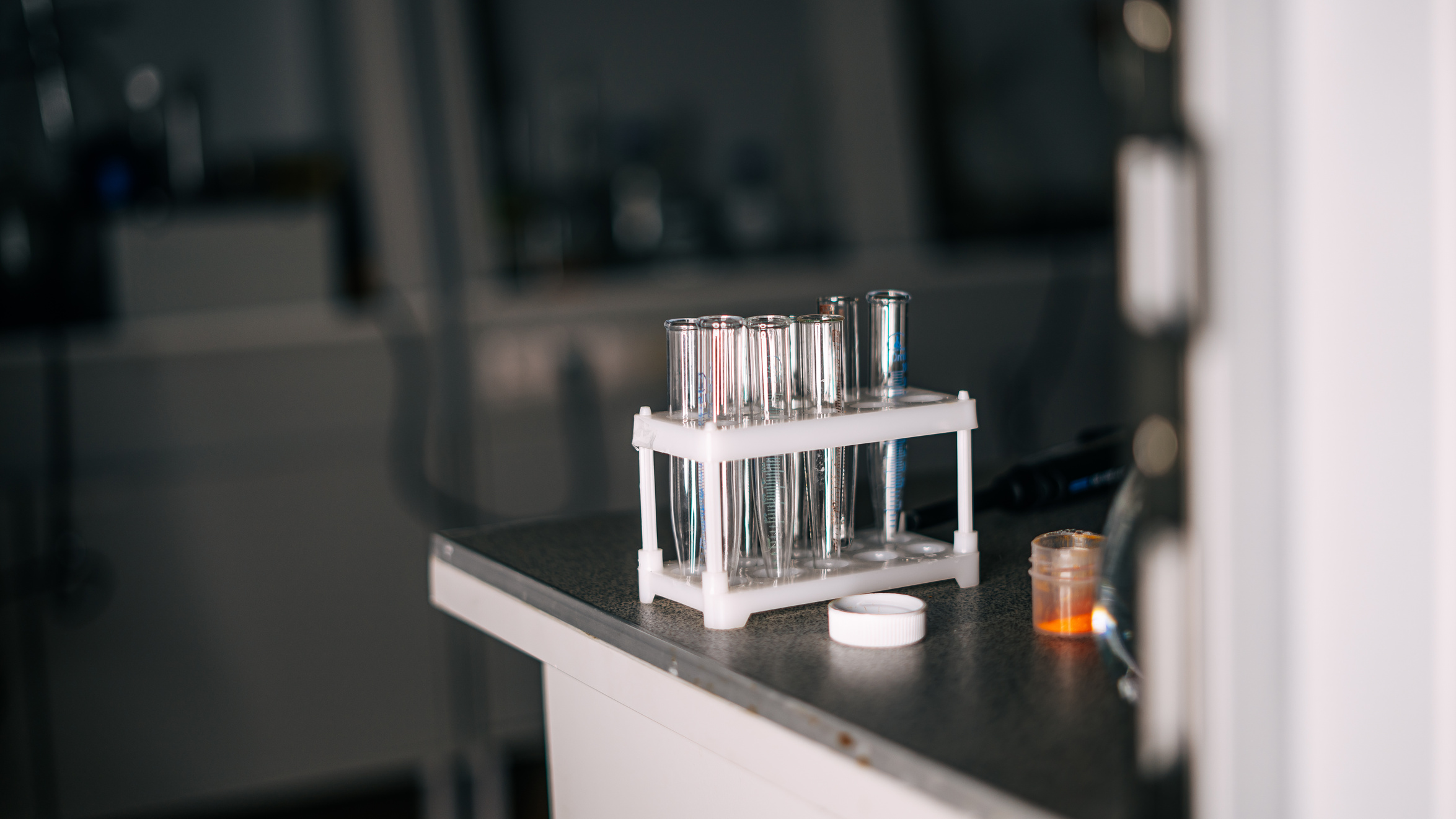 Laboratory Test Tubes on a Rack